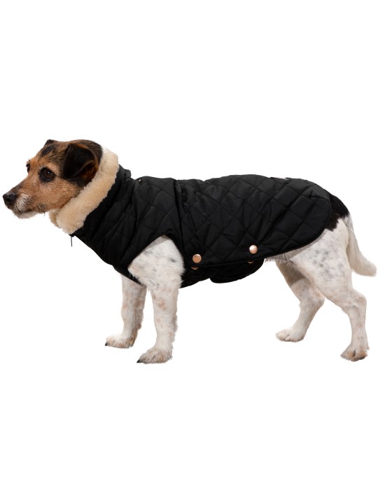 Manteau chien GLOSSY QUILTED