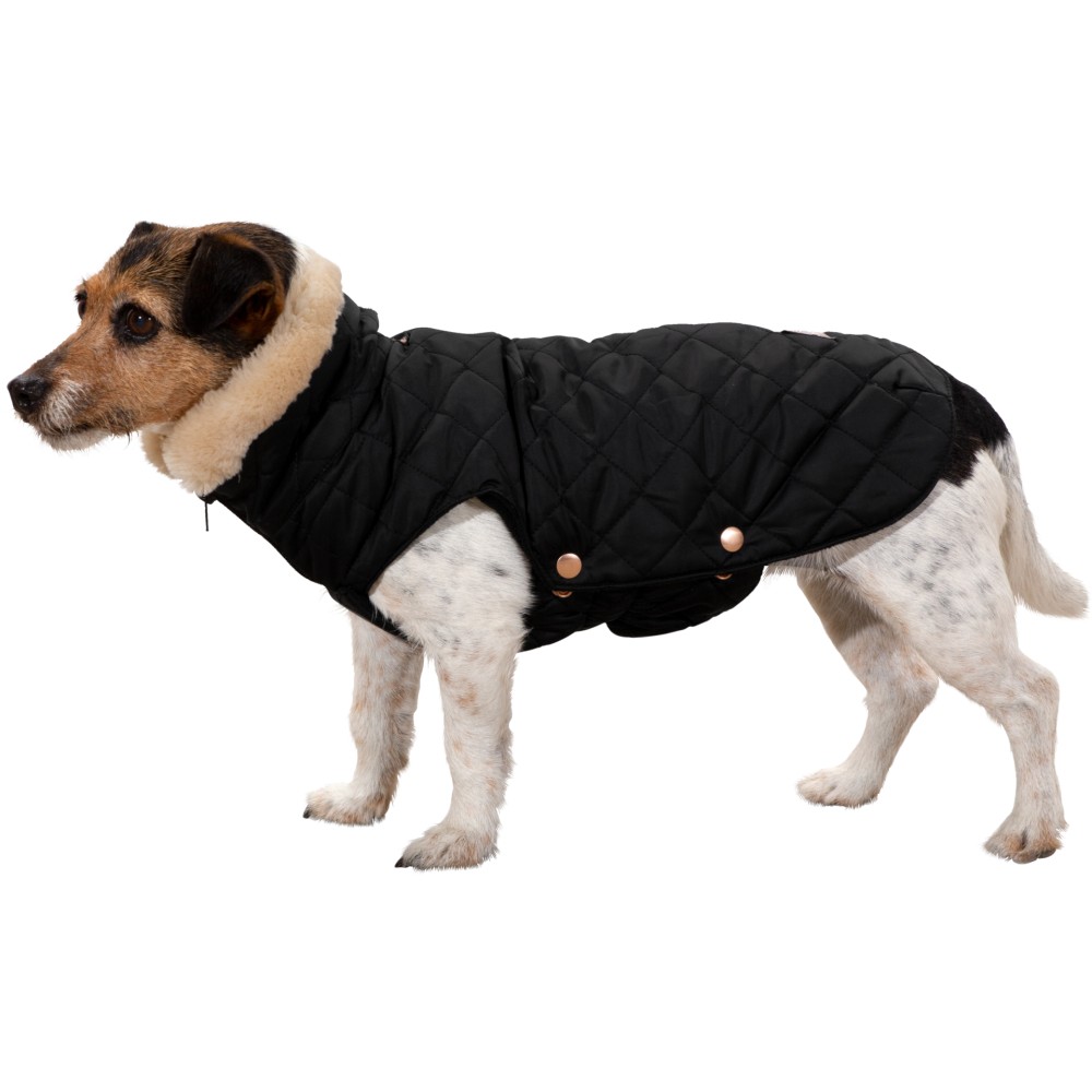 Manteau chien GLOSSY QUILTED