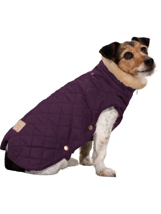 Manteau chien GLOSSY QUILTED