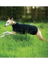 Manteau chien AMIGO FLEECE