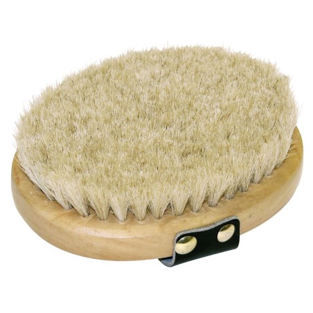 Brosse lustrante Brush & co