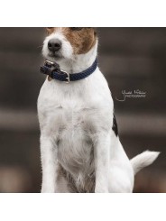 Collier pour chien en nylon tressé