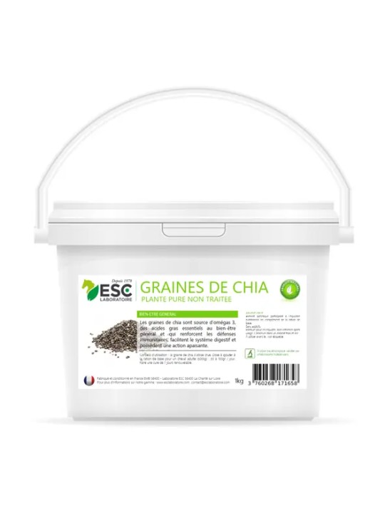 Graine de Chia