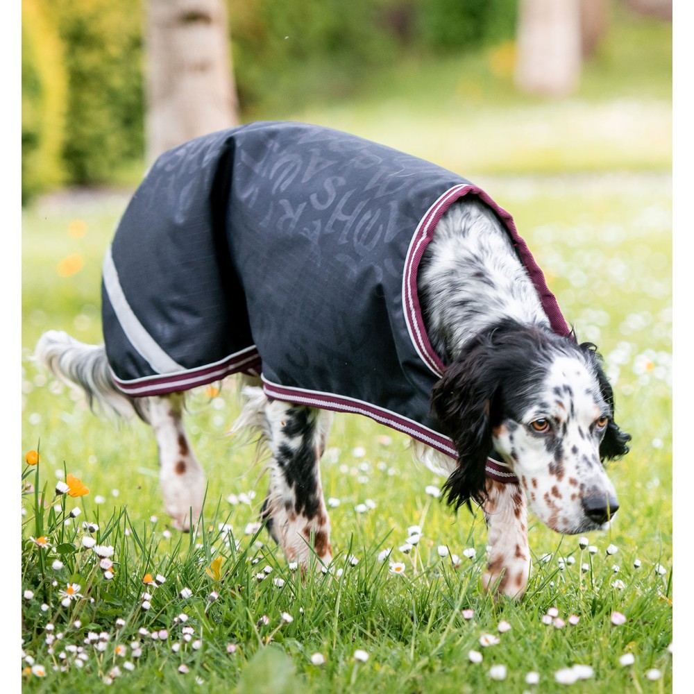 Manteau pour chien AMIGO RIPSTOP