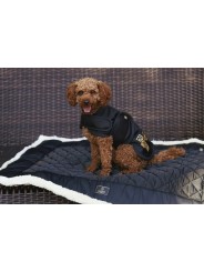 Manteau pour chien SOFTSHELL Heritage 21/22