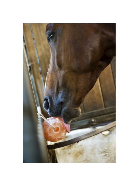 Pierre à sel de l'himalaya 1,5Kg