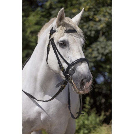 Bridon cheval de Trait CLUB