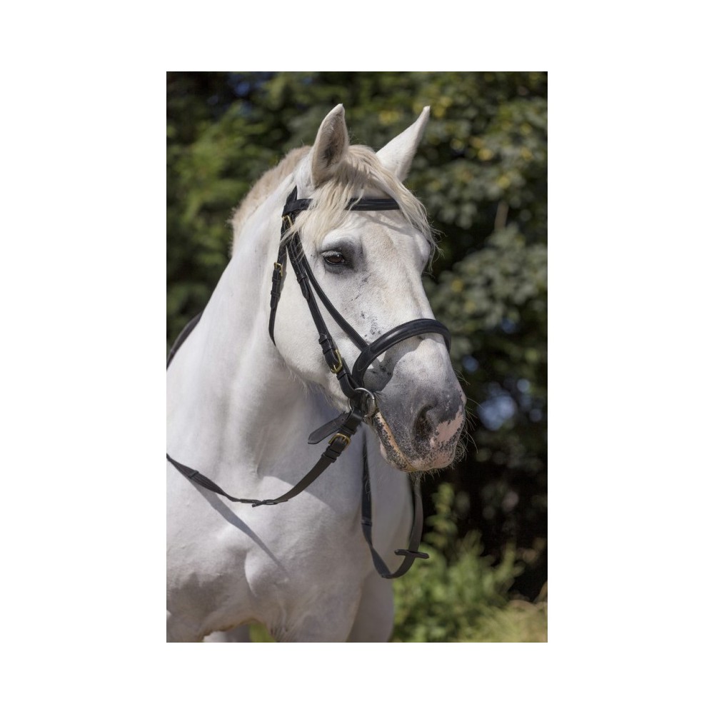 Bridon cheval de Trait CLUB