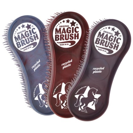 Kit de brosses MAGIC BRUSH Wildberry Recycled