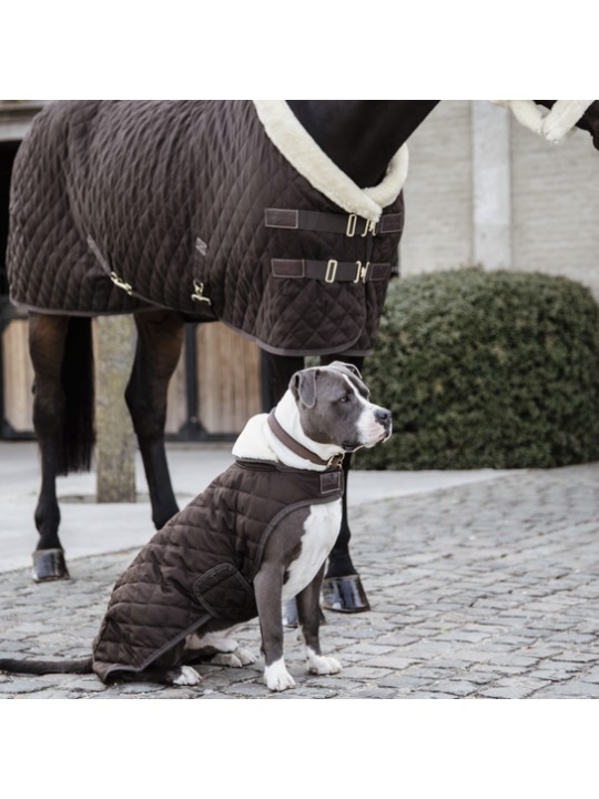 Manteau pour chien ORIGINAL