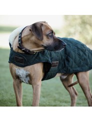 Manteau pour chien ORIGINAL