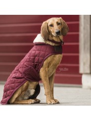 Manteau pour chien ORIGINAL