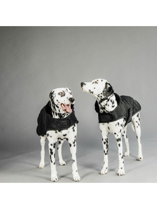 Manteau pour chien ORIGINAL