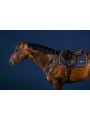 Collier de chasse US JUMPING Collection long pont