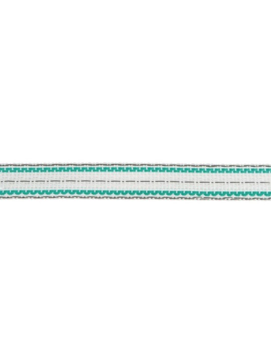 Ruban PremiumPlus 20mm blanc/vert