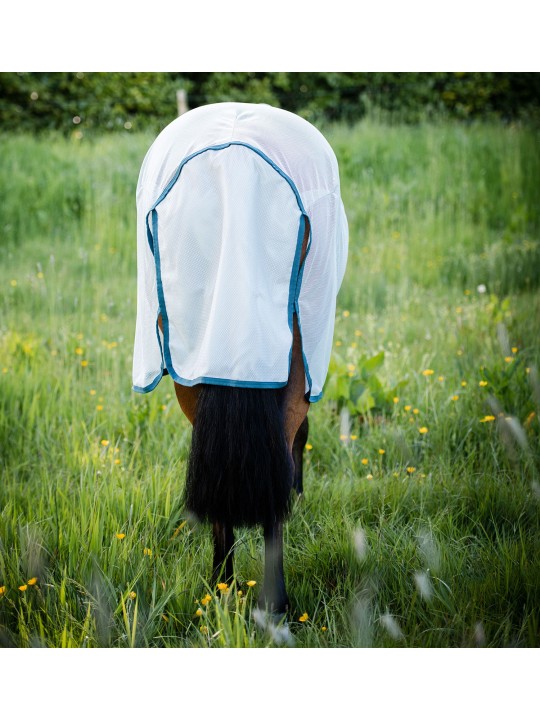 Chemise AmECO BUG RUG