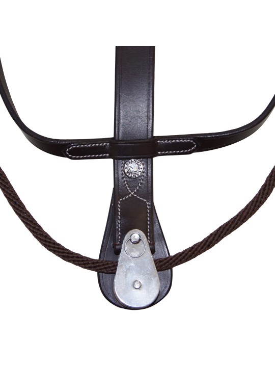 Martingale Howlett corde