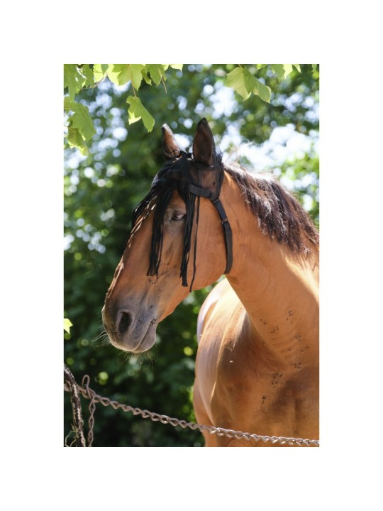 Bonnet mesh avec chasse-mouches