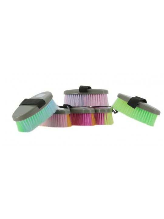 Brosse multicolore