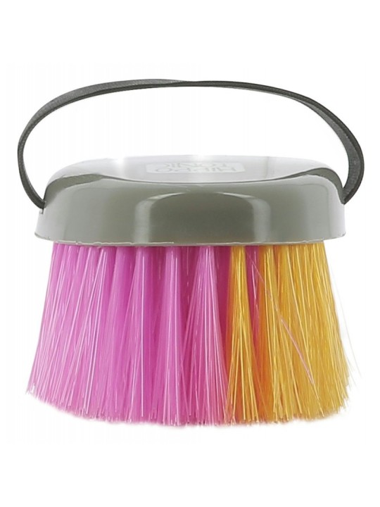 Brosse multicolore