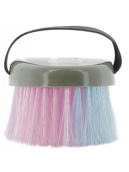 Brosse multicolore