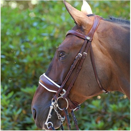 Bride DRESSAGE Collection cuir plat doublure blanche