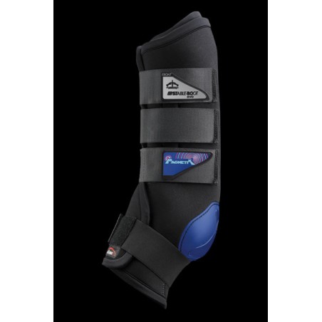 Magnetik Stable Boot Evo antérieurs