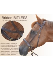 Bridon BITLESS