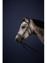 Bridon NEW ENGLISH Collection HACKAMORE