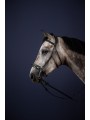 Bridon NEW ENGLISH Collection HACKAMORE