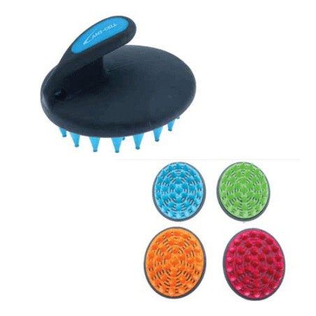 Brosse de massage