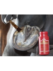 HOOF SOLUTION