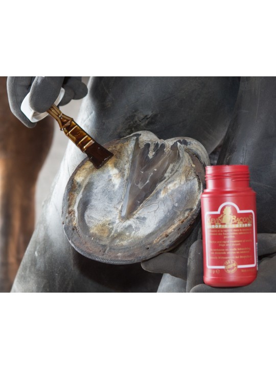 HOOF SOLUTION