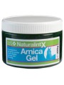 NaturalintX ARNICA GEL