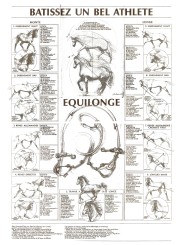 Equilonge