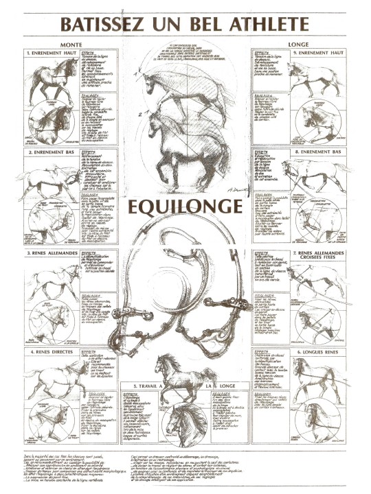 Equilonge