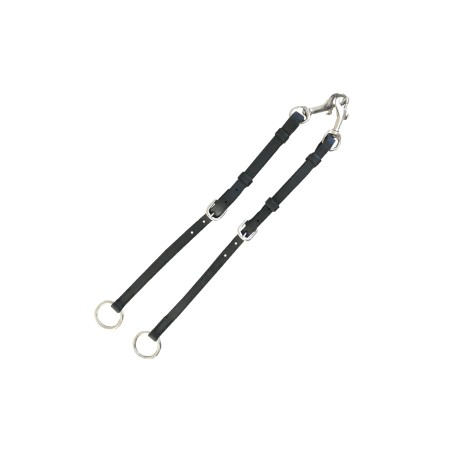 Fourche de martingale PE