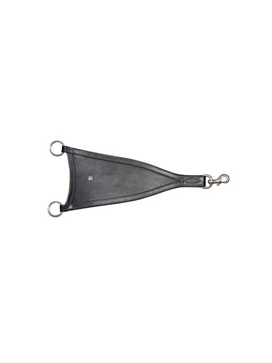 Triangle de martingale BIB