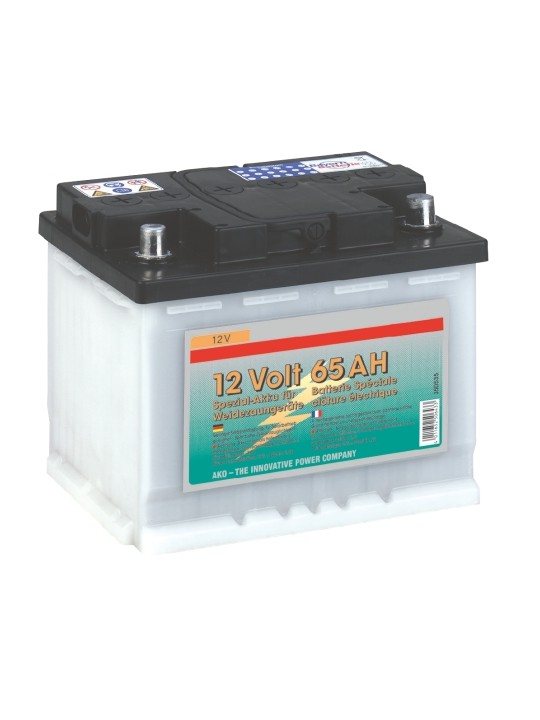 Batterie humide 12V