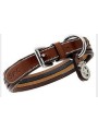 Collier chien 4 STRAPS