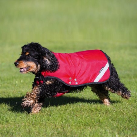 Manteau chien DUO Rambo