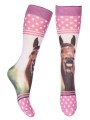 Chaussettes HORSE