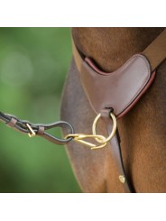 Collier de chasse 5 points HFI