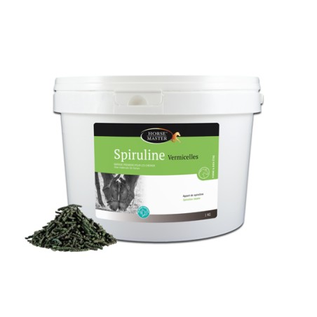 Spiruline Vermicelles