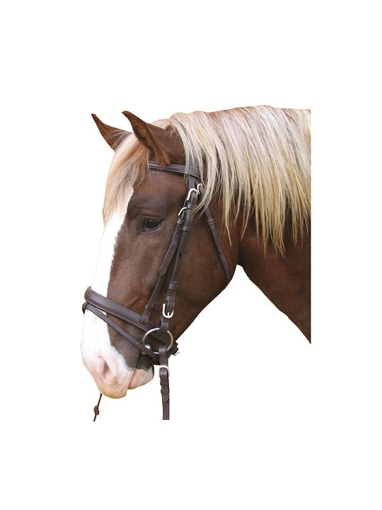 Bridon cheval de trait