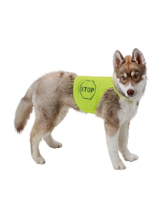 Gilet pour chien fluorescent