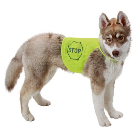 Gilet pour chien fluorescent