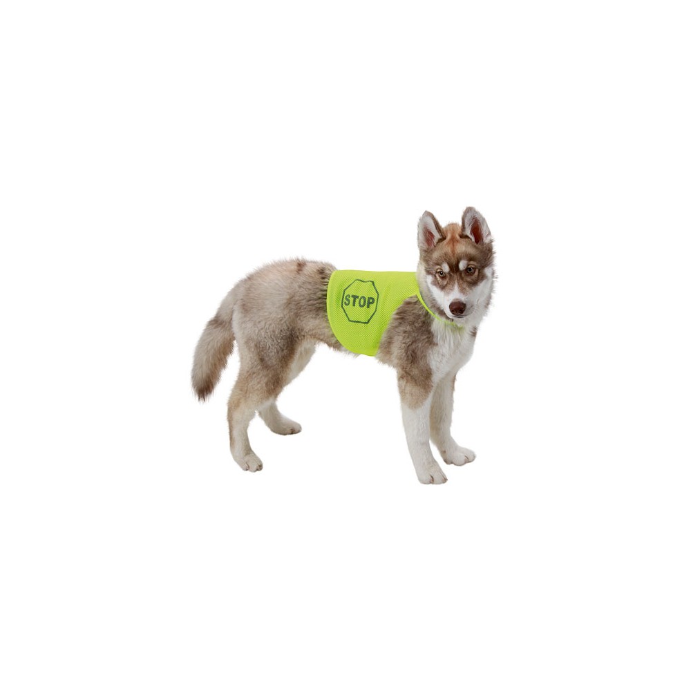 Gilet pour chien fluorescent