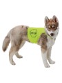 Gilet pour chien fluorescent