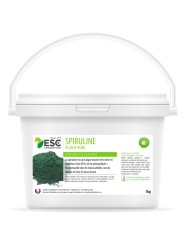 Spiruline poudre